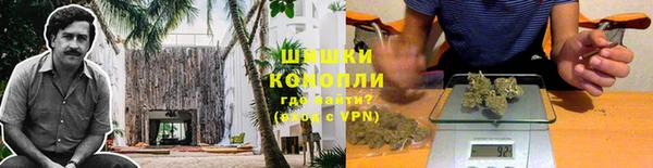 стаф Горняк