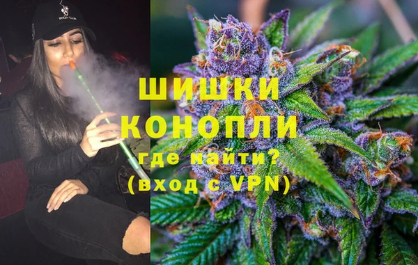 стаф Горняк