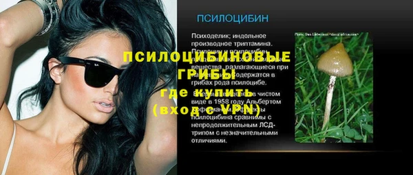стаф Горняк